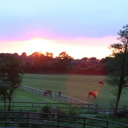 Hof Eckhorst Apartment