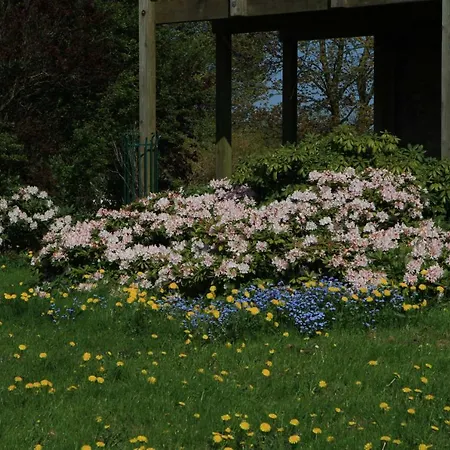 Hof Eckhorst شقة *